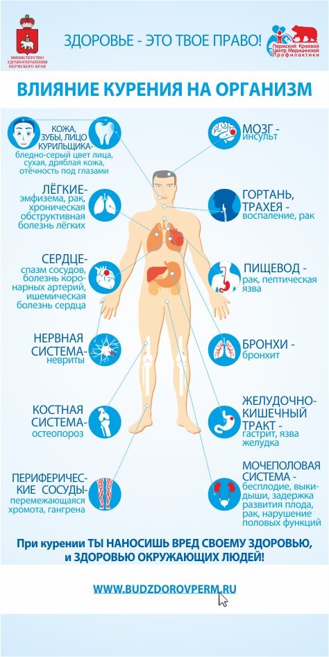 О вреде курения