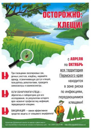 Клещи