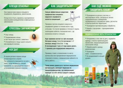 Клещи