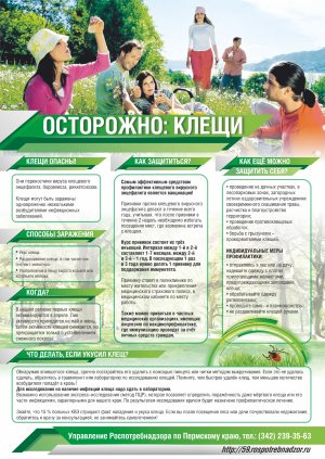Клещи