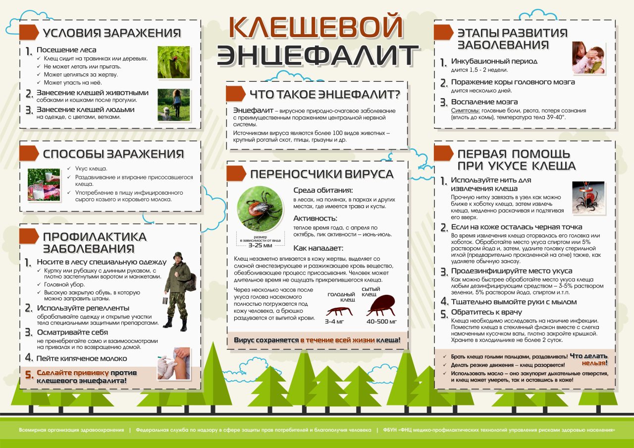 Клещи